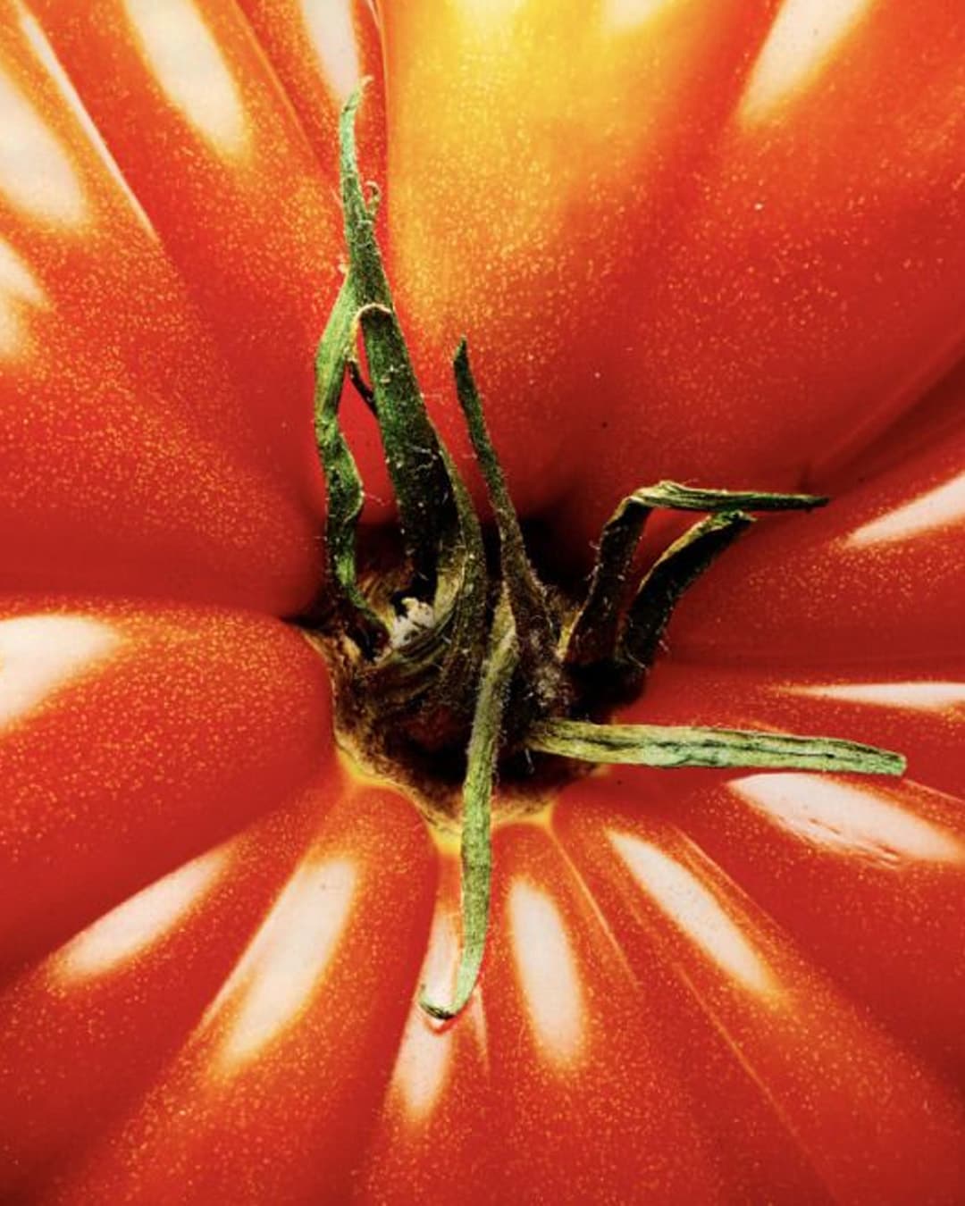 Fresh tomato